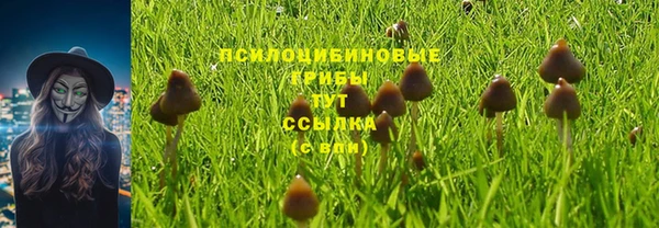 mdpv Алзамай