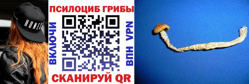 Галлюциногенные грибы Cubensis  МЕГА зеркало  Ипатово 